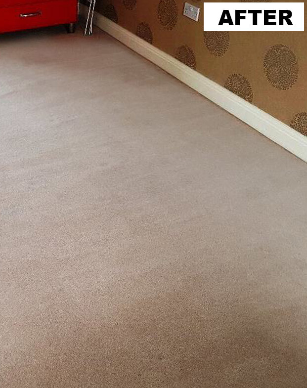 The same carpet clean after Lemon Breeze's visit