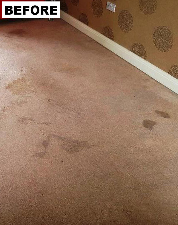 Stained beige carpet before cleaning